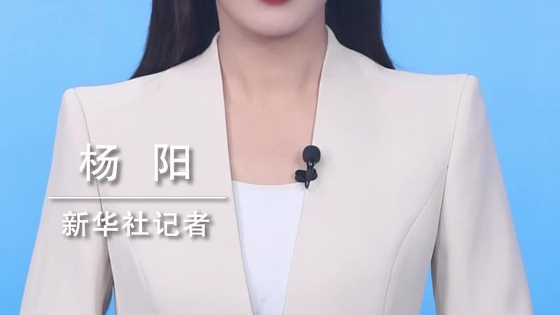金融大数据分析：揭秘厂家直销背后的技术奥秘