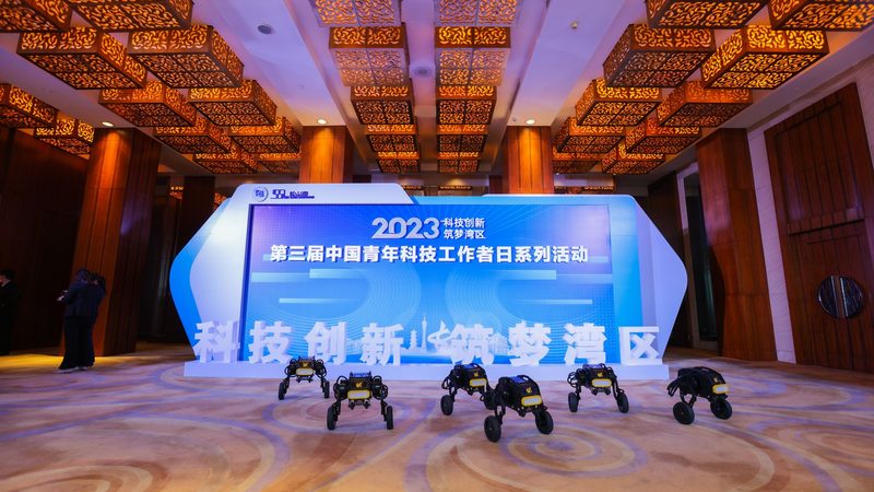定制软件开发：揭秘成本构成与影响因素